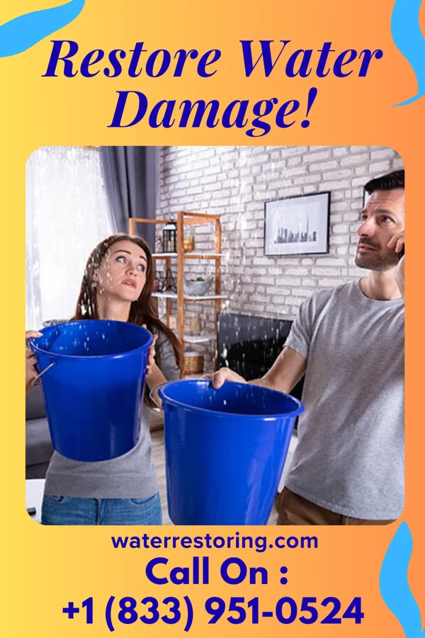 water restoration United Sewage Cleanup Pros Hayden